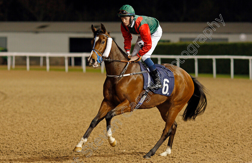 Goddess-Of-Fire-0001 
 GODDESS OF FIRE (Darragh Keenan)
Wolverhampton 19 Dec 2019 - Pic Steven Cargill / Racingfotos.com