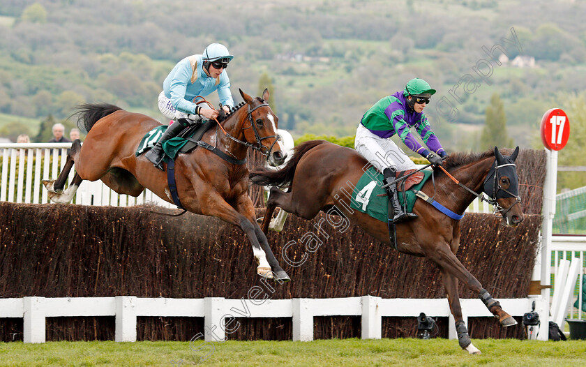 Brave-Jaq-and-Loughaderra-Prince-0002 
 BRAVE JAQ (right, James Martin) jumps with LOUGHADERRA PRINCE (left) Cheltenham 4 May 2018 - Pic Steven Cargill / Racingfotos.com