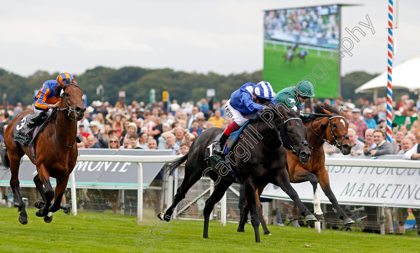 Mostahdaf-0004 
 MOSTAHDAF (Frankie Dettori) beats NASHWA (right) and PADDINGTON (left) in The Juddmonte International Stakes
York 23 Aug 2023 - Pic Steven Cargill / Racingfotos.com