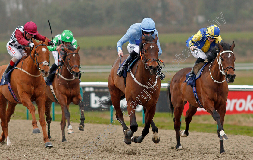 Battle-Of-Marathon-0003 
 BATTLE OF MARATHON (centre, Darragh Keenan) beats BLOWING DIXIE (right) in The Betway Handicap
Lingfield 14 Feb 2020 - Pic Steven Cargill / Racingfotos.com