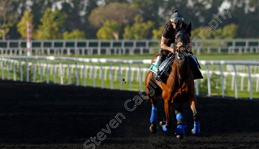 Emily-Upjohn-0001 
 EMILY UPJOHN training for The Sheema Classic
Meydan Dubai 27 Mar 2024 - Pic Steven Cargill / Racingfotos.com