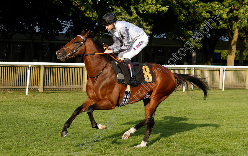 Midnight-City-0001 
 MIDNIGHT CITY (Robert Havlin)
Newmarket 9 Aug 2024 - Pic Steven Cargill / Racingfotos.com