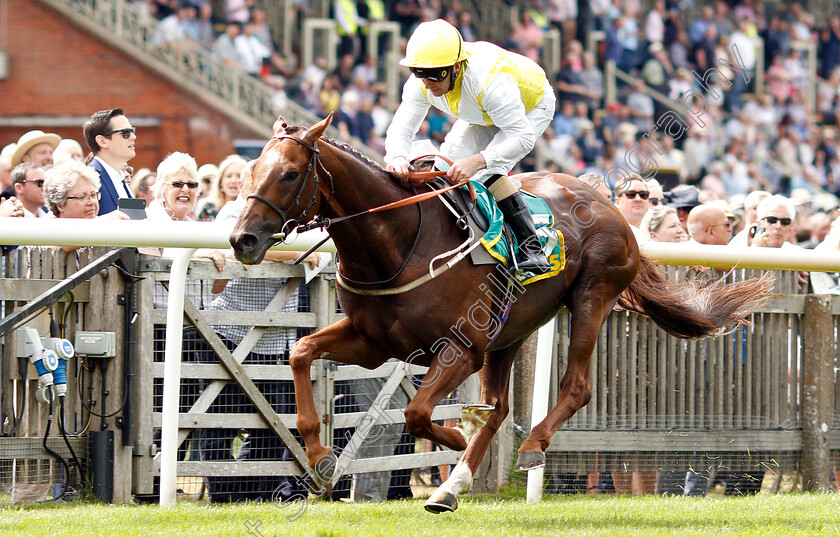 King s-Advice-0001 
 KING'S ADVICE (Joe Fanning) wins The bet365 Trophy
Newmarket 12 Jul 2019 - Pic Steven Cargill / Racingfotos.com