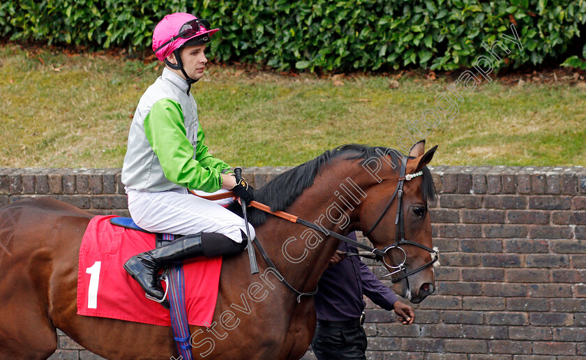 Castel-Angelo-0001 
 CASTEL ANGELO (Charles Bishop) 
Sandown 8 Aug 2019 - Pic Steven Cargill / Racingfotos.com