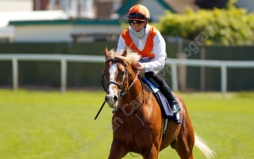 Music-Banner-0002 
 MUSIC BANNER (Daniel Muscutt)
Yarmouth 9 Jun 2021 - Pic Steven Cargill / Racingfotos.com