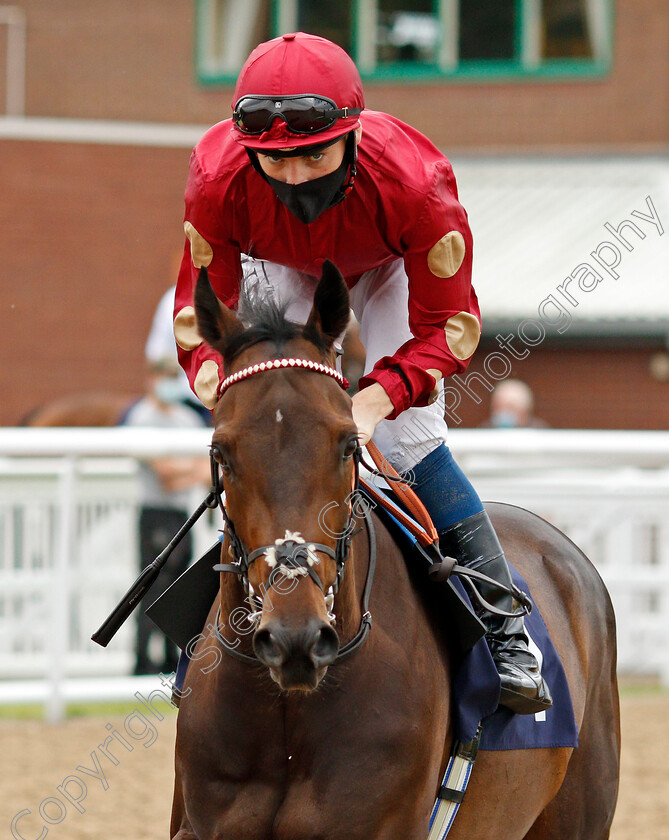 Dashing-Spirit-0001 
 DASHING SPIRIT (Callum Shepherd)
Wolverhampton 31 Jul 2020 - Pic Steven Cargill / Racingfotos.com