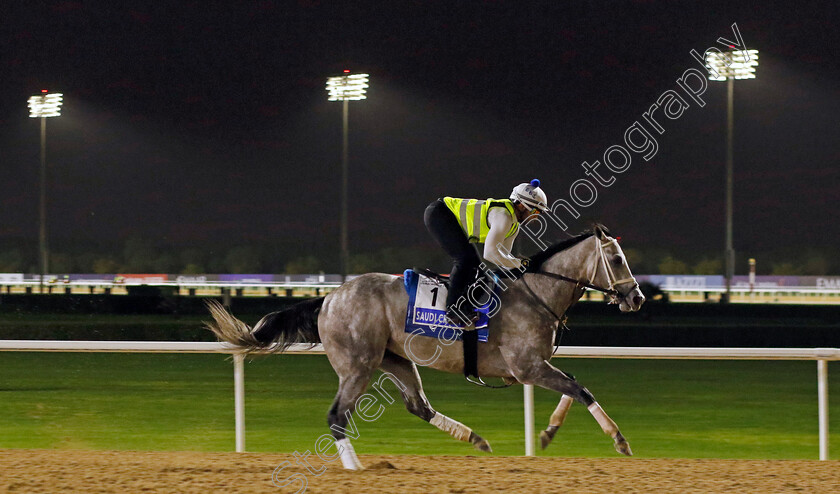 Saudi-Crown-0001 
 SAUDI CROWN training for The Godolphin Mile
Meydan Dubai 26 Mar 2024 - Pic Steven Cargill / Racingfotos.com