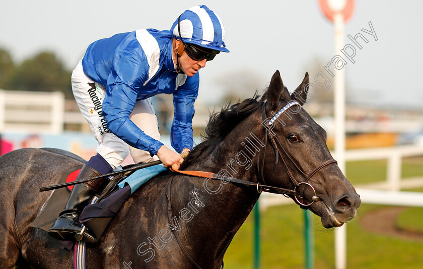 Mutafarrid-0005 
 MUTAFARRID (Jim Crowley) wins The Paul Gill 70th Birthday Nursery Yarmouth 16 Oct 2017 - Pic Steven Cargill / Racingfotos.com