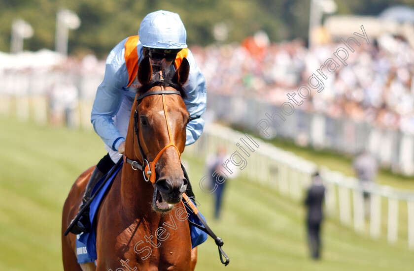 Raymond-Tusk-0002 
 RAYMOND TUSK (Jim Crowley)
Sandown 7 Jul 2018 - Pic Steven Cargill / Racingfotos.com