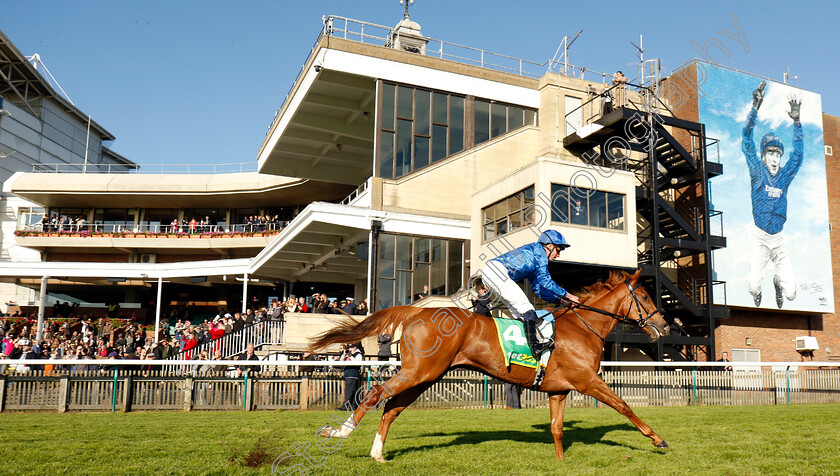 Desert-Flower-0003 
 DESERT FLOWER (William Buick) wins The bet365 Fillies Mile
Newmarket 11 Oct 2024 - pic Steven Cargill / Racingfotos.com