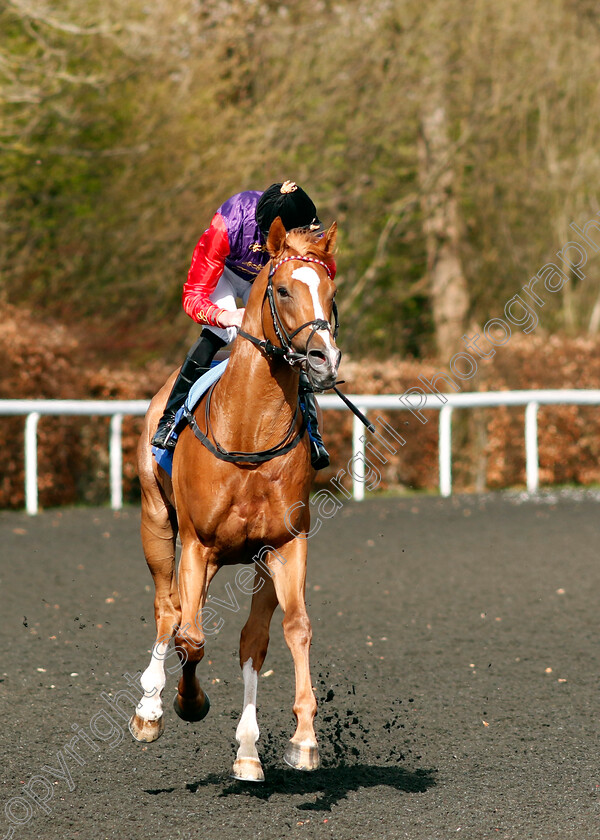 Slipofthepen-0006 
 SLIPOFTHEPEN (James Doyle) winner of The Join Racing TV Now Conditions Stakes
Kempton 10 Apr 2023 - Pic Steven Cargill / Racingfotos.com