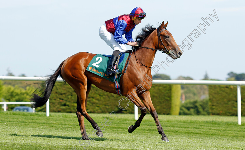 Content-0001 
 CONTENT (Ryan Moore)
Leopardstown 9 Sep 2023 - Pic Steven Cargill / Racingfotos.com