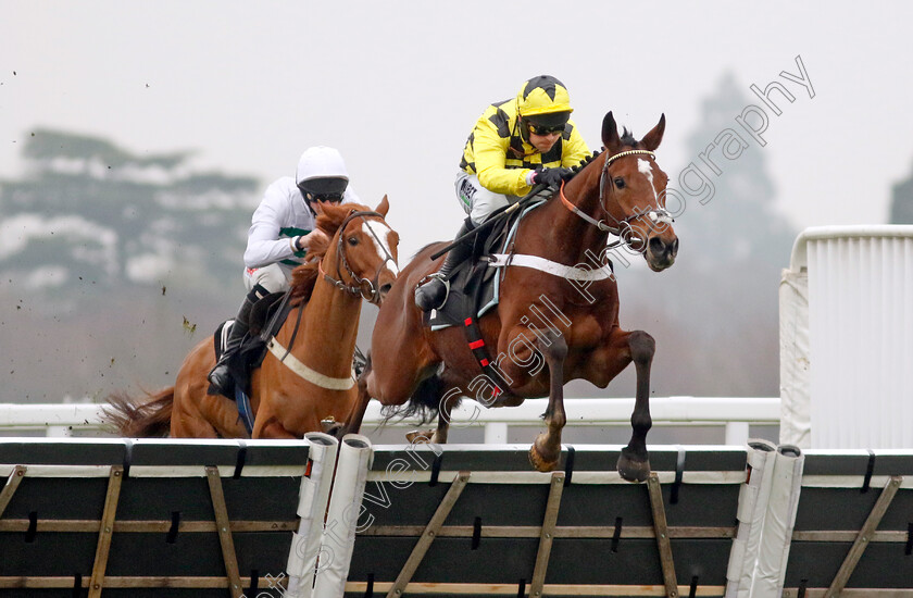 Lulamba-0002 
 LULAMBA (Nico de Boinville) wins The Betmgm Juvenile Hurdle
Ascot 18 Jan 2025 - Pic Steven Cargill / Racingfotos.com