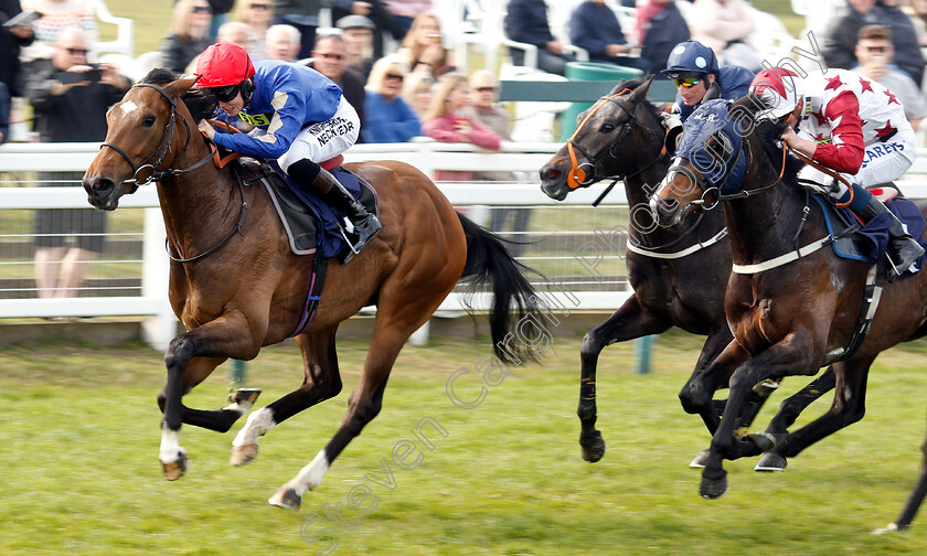 Camachess-0001 
 CAMACHESS (Phil Dennis) wins The Thanks Jan Leeder And Best Wishes Handicap
Yarmouth 23 Apr 2019 - Pic Steven Cargill / Racingfotos.com