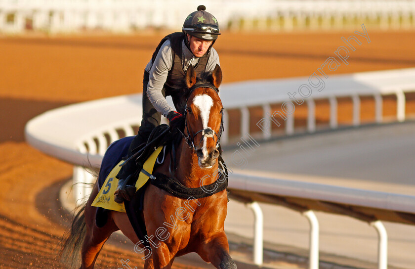 Harrovian-0003 
 HARROVIAN training for The Neom Turf Cup
King Abdulaziz Racetrack, Riyadh, Saudi Arabia 23 Feb 2022 - Pic Steven Cargill / Racingfotos.com