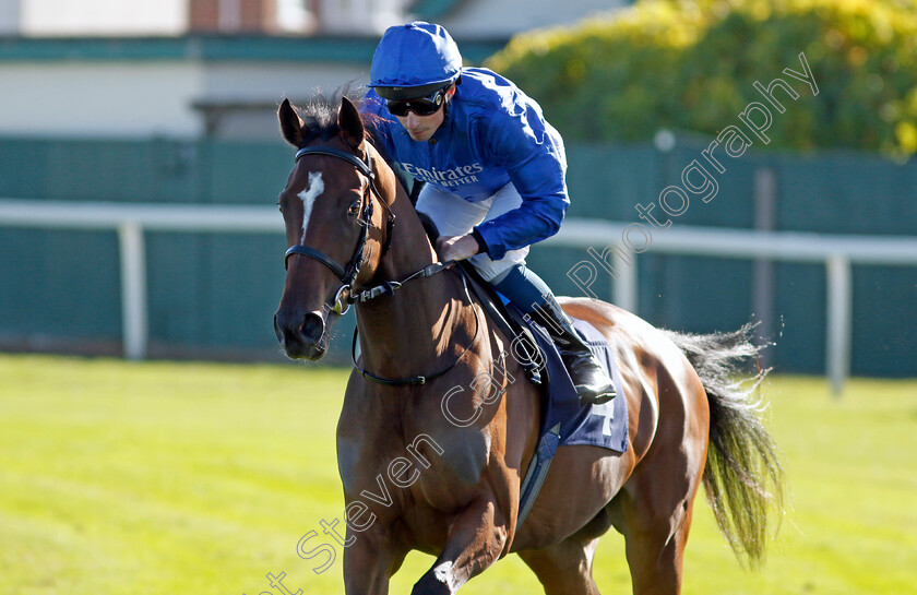 Glittering-Lights-0002 
 GLITTERING LIGHTS (William Buick)
Yarmouth 18 Oct 2022 - Pic Steven Cargill / Racingfotos.com