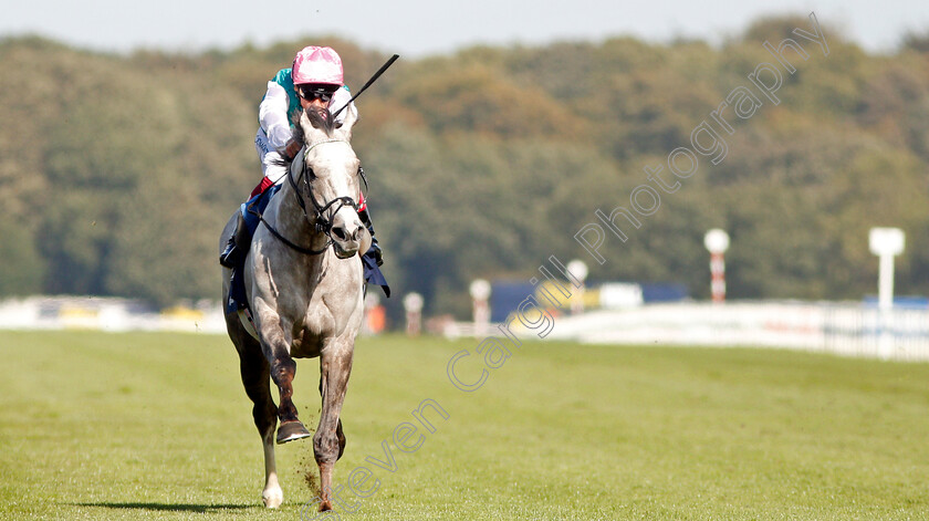 Logician-0014 
 LOGICIAN (Frankie Dettori) wins The William Hill St Leger Stakes
Doncaster 14 Sep 2019 - Pic Steven Cargill / Racingfotos.com