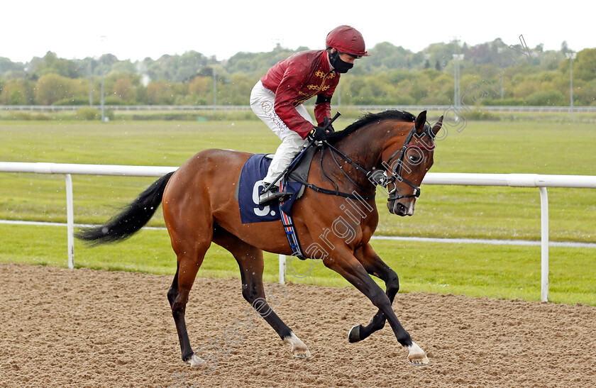 Sunstrike-0001 
 SUNSTRIKE (Oisin Murphy)
Wolverhampton 24 May 2021 - Pic Steven Cargill / Racingfotos.com