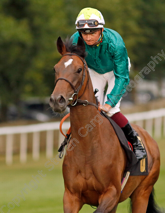 Rechercher-0002 
 RECHERCHER (Rob Hornby)
Newmarket 22 Jul 2022 - Pic Steven Cargill / Racingfotos.com