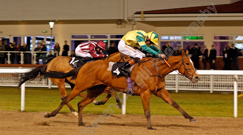 Ice-Royal-0003 
 ICE ROYAL (Dougie Costello) wins The Bet totetrifecta At betfred.com Handicap Chelmsford 1 Dec 2017 - Pic Steven Cargill / Racingfotos.com