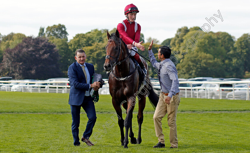 Mishriff-0006 
 MISHRIFF (David Egan) after The Juddmonte International
York 18 Aug 2021 - Pic Steven Cargill / Racingfotos.com