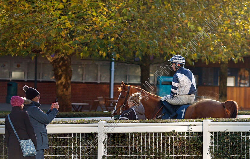 Celtic-Dino-0008 
 CELTIC DINO (Dylan Johnston) winner of The Troy Asset Management Introductory Hurdle
Ascot 22 Nov 2024 - Pic Steven Cargill / Racingfotos.com