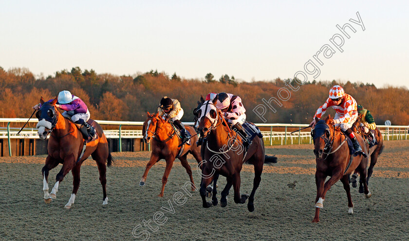 Hotalena-0003 
 HOTALENA (centre, Pierre-Louis Jamin) beats EXPERT OPINION (left) and MARTA BOY (right) in The Ladbrokes Watch Racing Online For Free Handicap
Lingfield 26 Feb 2021 - Pic Steven Cargill / Racingfotos.com