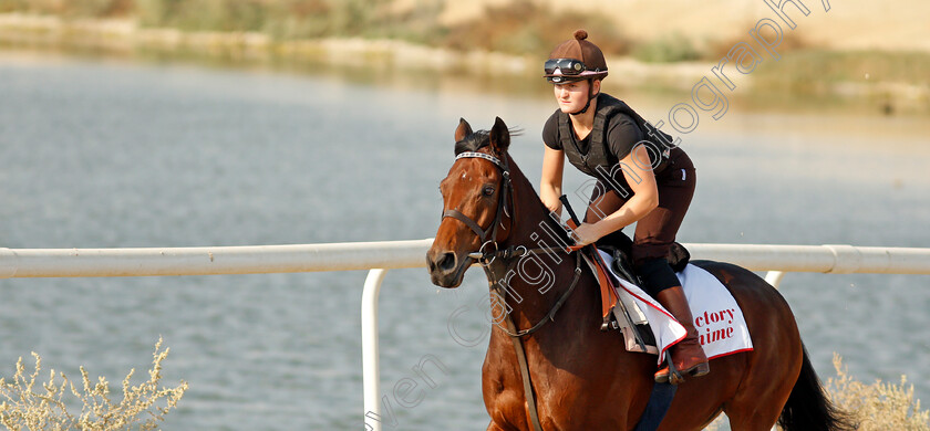 Victory-Chime-0003 
 VICTORY CHIME exercising in preparation for Friday's Bahrain International Trophy
Sakhir Racecourse, Bahrain 18 Nov 2021 - Pic Steven Cargill / Racingfotos.com