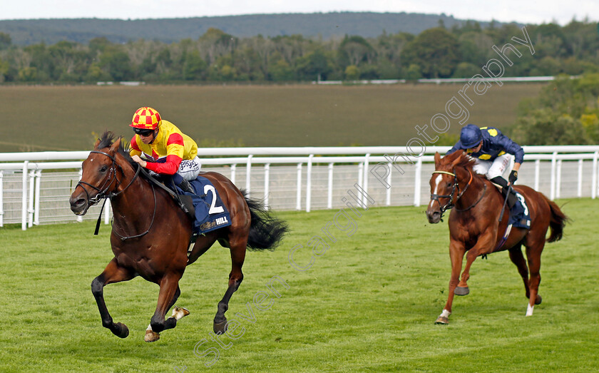 Savvy-Victory-0005 
 SAVVY VICTORY (David Probert) wins The William Hill Handicap
Goodwood 28 Aug 2022 - Pic Steven Cargill / Racingfotos.com