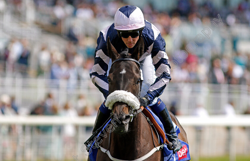 Makawee-0003 
 MAKAWEE (Jim Crowley)
York 12 Jun 2021 - Pic Steven Cargill / Racingfotos.com