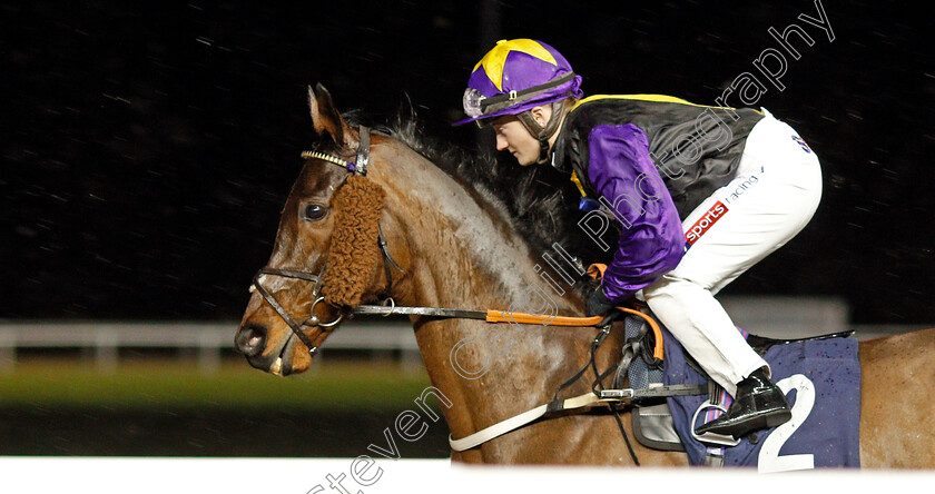 Rainbow-Dreamer-0001 
 RAINBOW DREAMER (Hollie Doyle) winner of The Betway Conditions Stakes
Wolverhampton 13 Jan 2020 - Pic Steven Cargill / Racingfotos.com