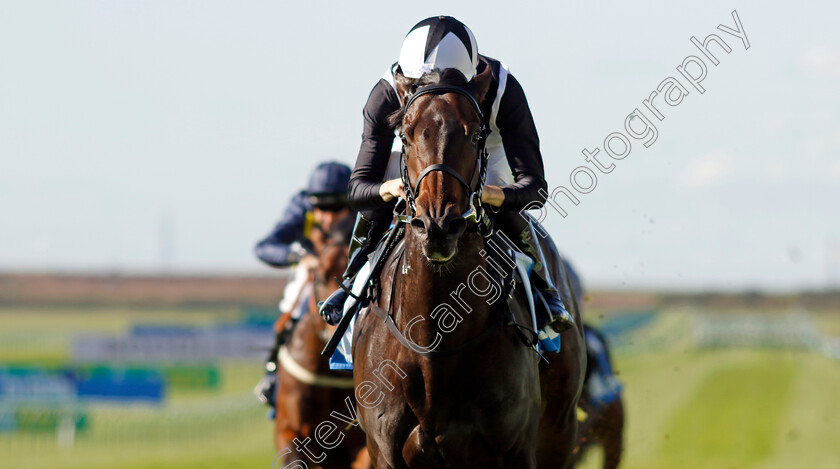 Coto-De-Caza-0001 
 COTO DE CAZA (Harry Davies) wins The Newmarket Academy Godolphin Beacon Project Cornwallis Stakes
Newmarket 11 Oct 2024 - pic Steven Cargill / Racingfotos.com