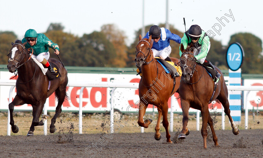 Progressive-Dawn-0001 
 PROGRESSIVE DAWN (right, Nicola Currie) beats NAWAR (left) in The 32Red On The App Store Novice Stakes Div2
Kempton 8 Aug 2018 - Pic Steven Cargill / Racingfotos.com