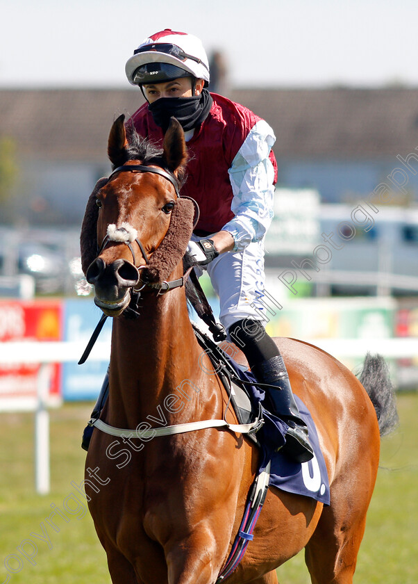 Sir-Canford-0002 
 SIR CANFORD (Silvestre De Sousa)
Yarmouth 19 May 2021 - Pic Steven Cargill / Racingfotos.com