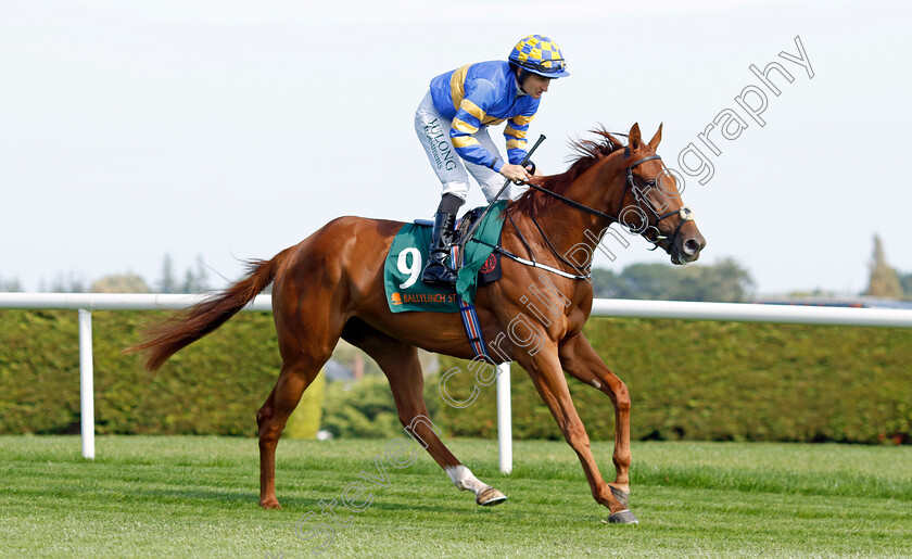 Sea-The-Boss-0001 
 SEA THE BOSS (Shane Foley)
Leopardstown 9 Sep 2023 - Pic Steven Cargill / Racingfotos.com