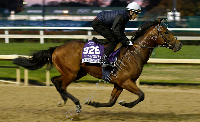 Well-Done-Fox- 
 WELL DONE FOX exercising ahead of The Breeders' Cup Juvenile Turf Sprint
Churchill Downs USA 31 Oct 2018 - Pic Steven Cargill / Racingfotos.com