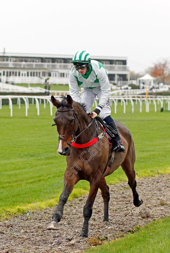 Gone-To-Texas-0001 
 GONE TO TEXAS (Ciaran Gethings)
Market Rasen 17 Nov 2022 - Pic Steven Cargill / Racingfotos.com