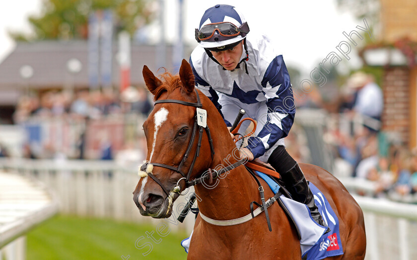 Zain-Claudette-0001 
 ZAIN CLAUDETTE (Ray Dawson) winner of The Sky Bet Lowther Stakes
York 19 Aug 2021 - Pic Steven Cargill / Racingfotos.com