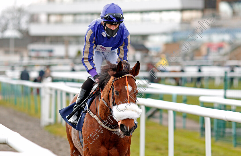 The-Great-Heir-0001 
 THE GREAT HEIR (Barry McHugh)
Doncaster 28 Mar 2021 - Pic Steven Cargill / Racingfotos.com