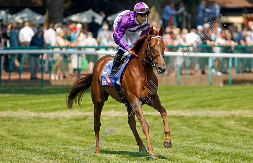 Nachtrose-0002 
 NACHTROSE (Rene Piechulek)
Haydock 10 Jun 2023 - Pic Steven Cargill / Racingfotos.com