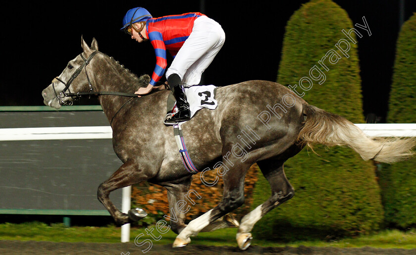 Arctic-Vega-0007 
 ARCTIC VEGA (Rob Hornby) wins The 32Red On The App Store Maiden Stakes Div1
Kempton 19 Feb 2020 - Pic Steven Cargill / Racingfotos.com