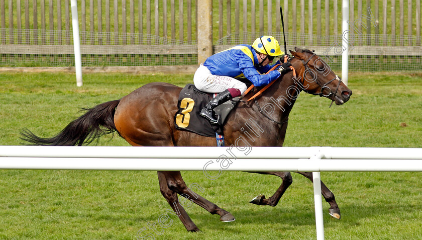 Mount-Teide-0001 
 MOUNT TEIDE (Oisin Murphy) wins The Jenningsbet Treble Odds Lucky 15 Handicap
Newmarket 10 Aug 2024 - Pic Steven Cargill / Racingfotos.com