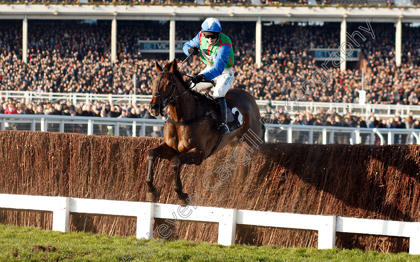 Virgilio-0001 
 VIRGILIO (Bridget Andrews)
Cheltenham 17 Nov 2018 - Pic Steven Cargill / Racingfotos.com