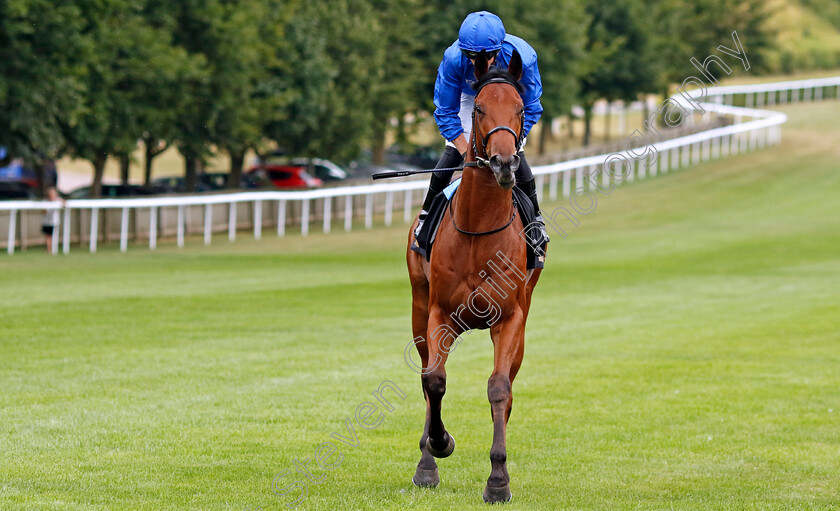 Noble-Style-0001 
 NOBLE STYLE (David Probert) winner of The Watch Live On Racing TV British EBF Novice Stakes
Newmarket 29 Jul 2022 - Pic Steven Cargill / Racingfotos.com