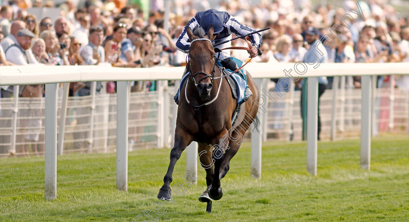 Al-Simmo-0002 
 AL SIMMO (Clifford Lee)
York 16 Jun 2023 - Pic Steven Cargill / Racingfotos.com