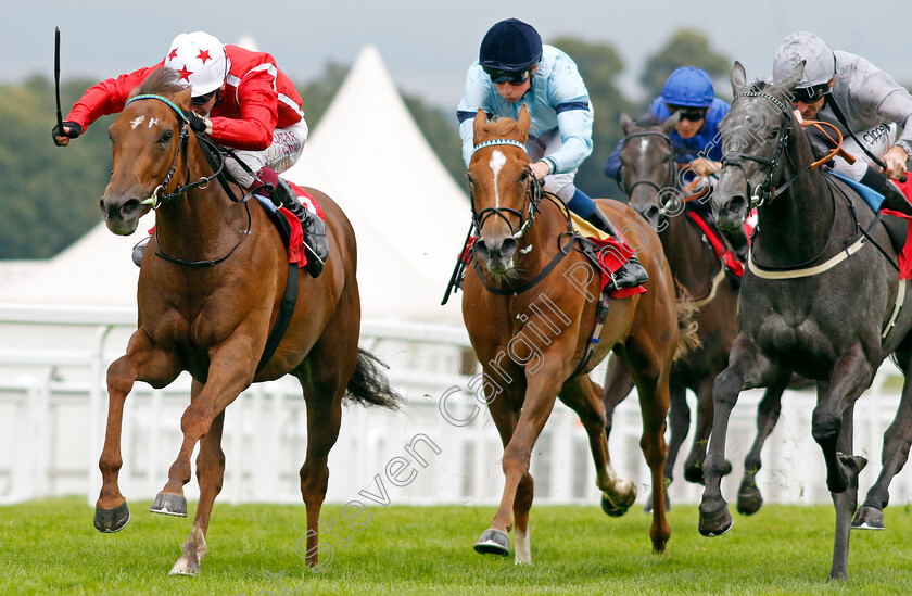 Shuwari-0004 
 SHUWARI (left, Oisin Murphy) beats SOPRANO (centre) and FALLEN ANGEL (right) in The European Bloodstock News EBF Star Stakes
Sandown 27 Jul 2023 - Pic Steven Cargill / Racingfotos.com