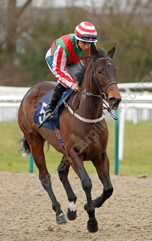 Equipped-0001 
 EQUIPPED (Nicola Currie)
Lingfield 2 Jan 2020 - Pic Steven Cargill / Racingfotos.com