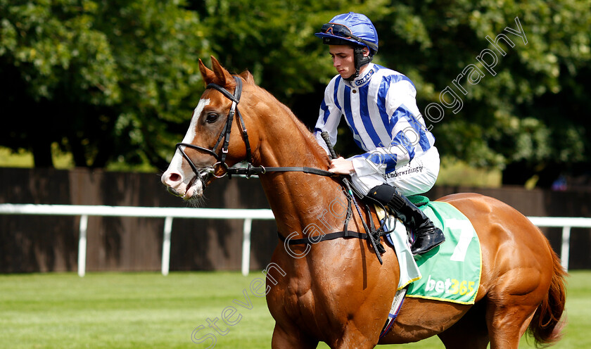 Seagulls-Eleven-0001 
 SEAGULLS ELEVEN (Rossa Ryan)
Newmarket 13 Jul 2024 - Pic Steven Cargill / Racingfotos.com