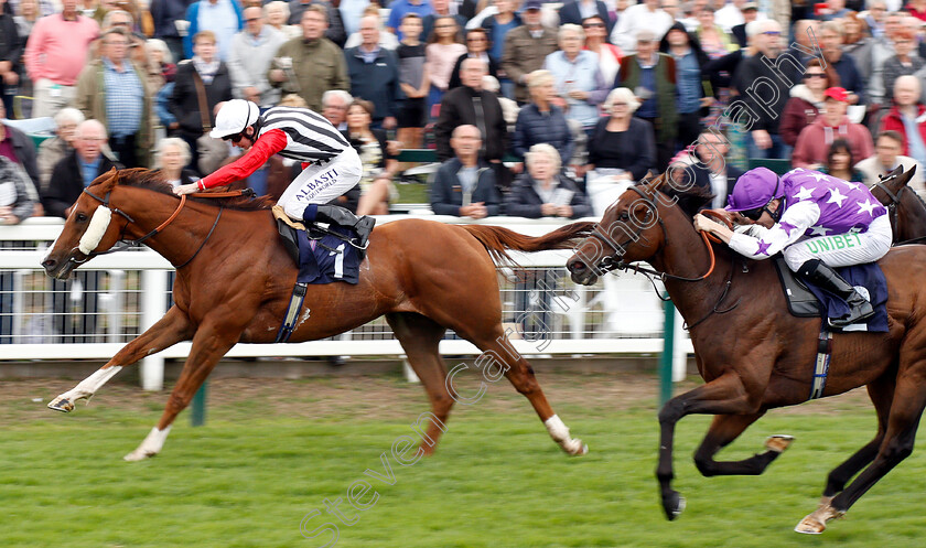 Mazzini-0002 
 MAZZINI (Oisin Murphy) beats POLYBIUS (right) in The Infobond Personnel Services 25th Anniversary Handicap
Yarmouth 20 Sep 2018 - Pic Steven Cargill / Racingfotos.com