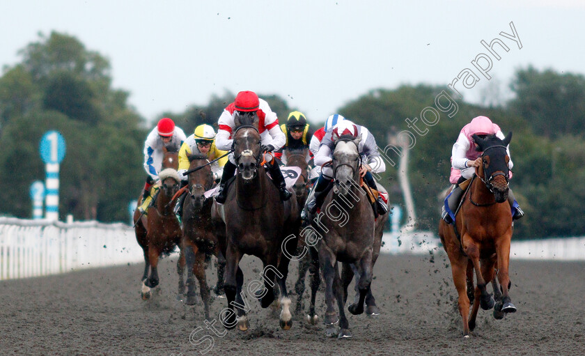 Molivaliente-0002 
 MOLIVALIENTE (left, Kieren Fox) beats NEFARIOUS (centre) and MAID FOR LIFE (right) in The 32Red.com Handicap
Kempton 10 Jul 2019 - Pic Steven Cargill / Racingfotos.com